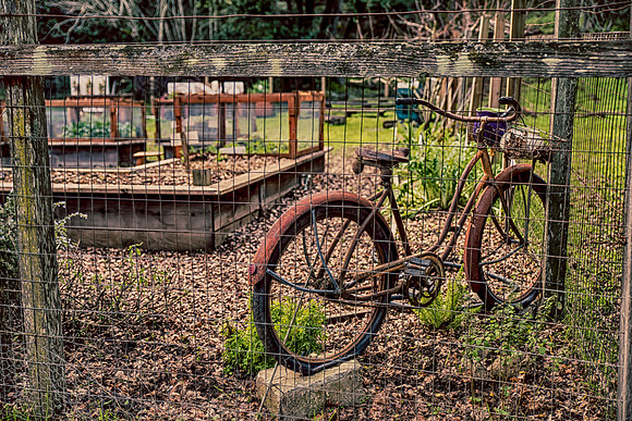 untitled-4352_HDR